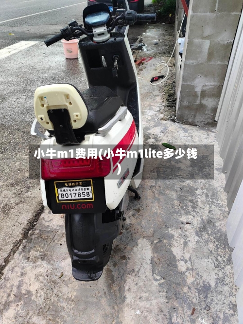 小牛m1费用(小牛m1lite多少钱)-第2张图片