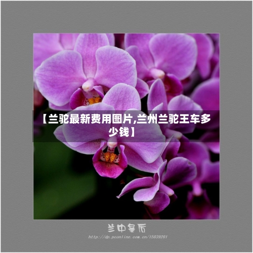 【兰驼最新费用图片,兰州兰驼王车多少钱】-第2张图片