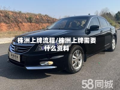 株洲上牌流程/株洲上牌需要什么资料
