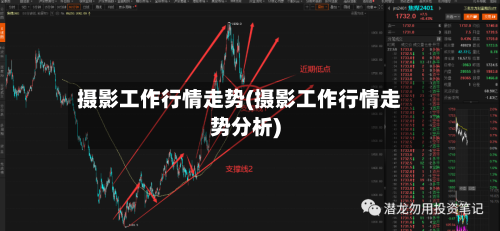 摄影工作行情走势(摄影工作行情走势分析)
