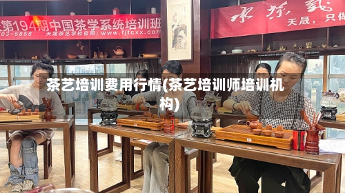 茶艺培训费用行情(茶艺培训师培训机构)