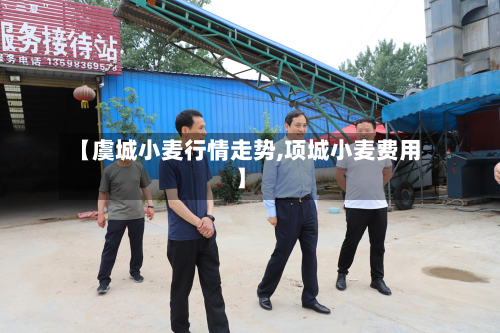 【虞城小麦行情走势,项城小麦费用】-第2张图片