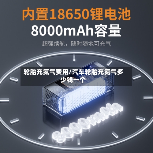 轮胎充氮气费用/汽车轮胎充氮气多少钱一个