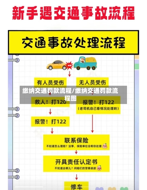 缴纳交通罚款流程/缴纳交通罚款流程图-第3张图片