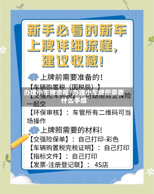 办理小车牌流程/办理小车牌照需要什么手续