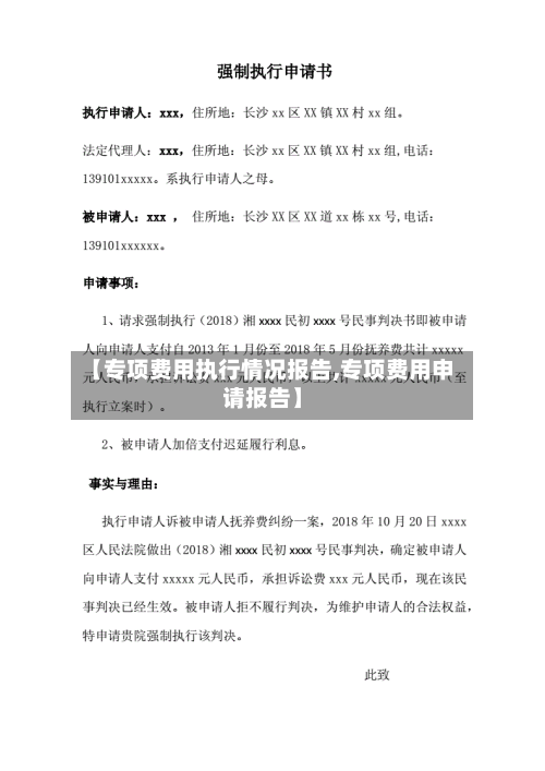 【专项费用执行情况报告,专项费用申请报告】