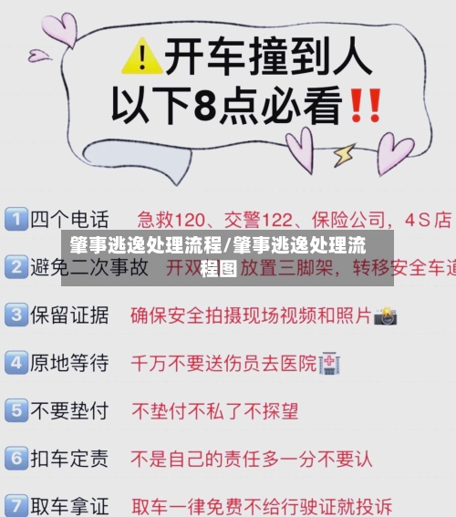 肇事逃逸处理流程/肇事逃逸处理流程图