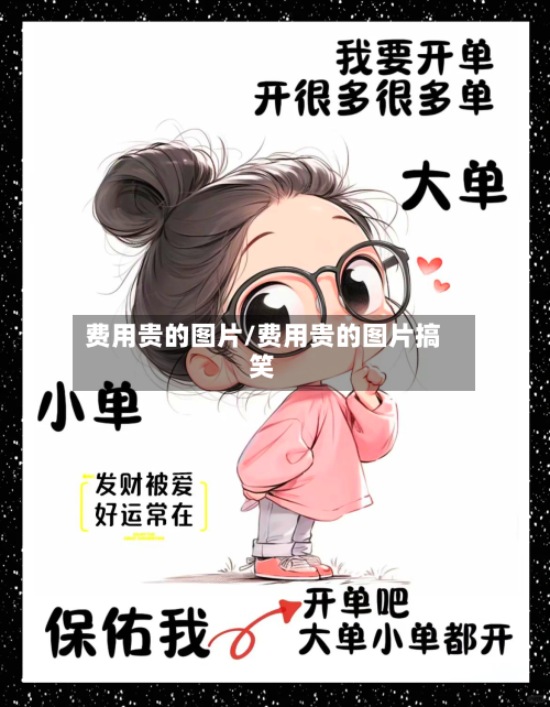费用贵的图片/费用贵的图片搞笑