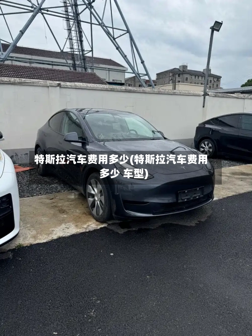 特斯拉汽车费用多少(特斯拉汽车费用多少 车型)-第2张图片