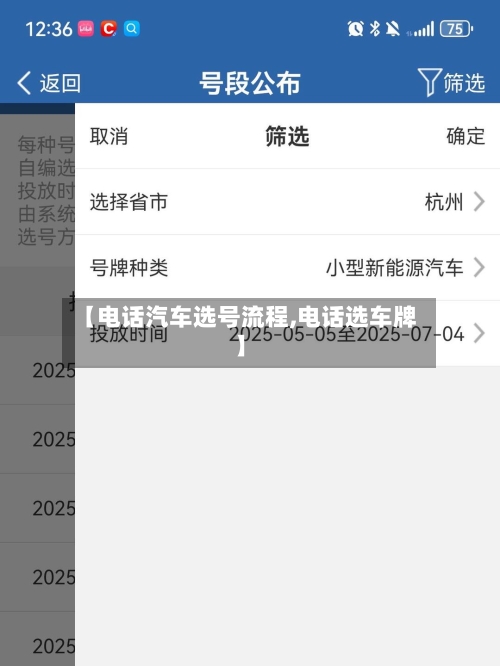 【电话汽车选号流程,电话选车牌】-第2张图片