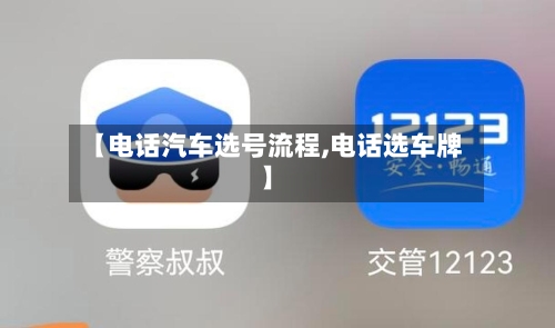 【电话汽车选号流程,电话选车牌】