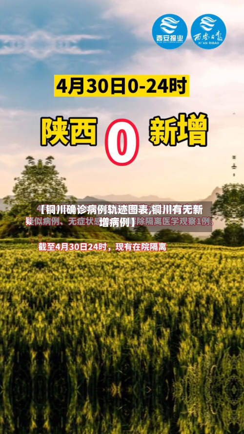 【铜川确诊病例轨迹图表,铜川有无新增病例】