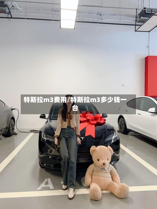 特斯拉m3费用/特斯拉m3多少钱一台-第3张图片