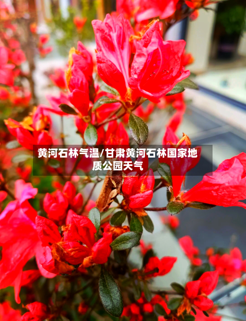 黄河石林气温/甘肃黄河石林国家地质公园天气