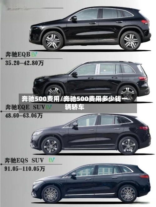 奔驰500费用/奔驰500费用多少钱一辆轿车-第2张图片