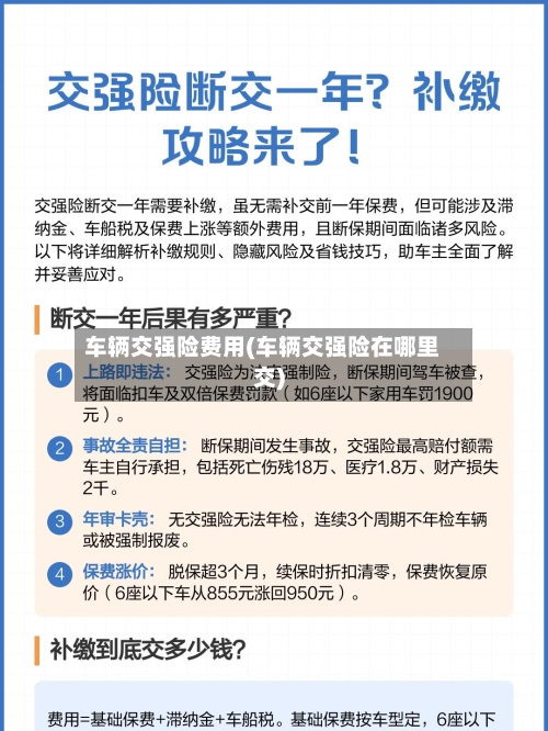 车辆交强险费用(车辆交强险在哪里交)