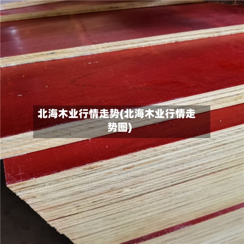 北海木业行情走势(北海木业行情走势图)-第2张图片