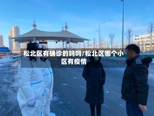 松北区有确诊的吗吗/松北区哪个小区有疫情