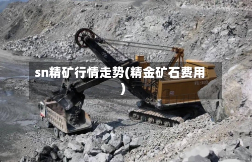 sn精矿行情走势(精金矿石费用)-第2张图片