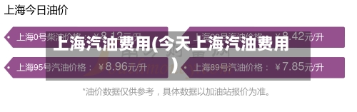 上海汽油费用(今天上海汽油费用)-第3张图片