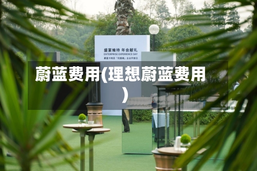 蔚蓝费用(理想蔚蓝费用)-第2张图片