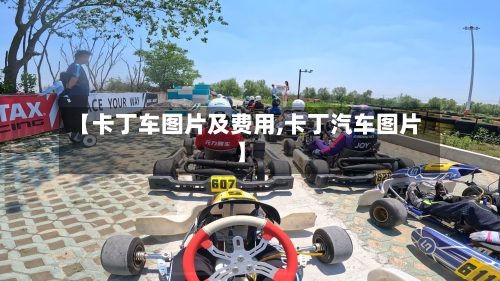 【卡丁车图片及费用,卡丁汽车图片】