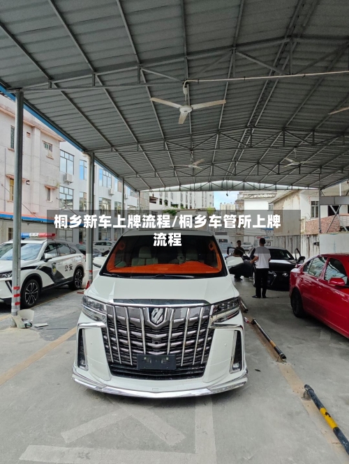 桐乡新车上牌流程/桐乡车管所上牌流程