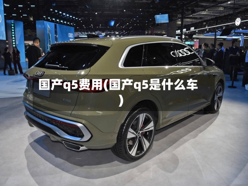 国产q5费用(国产q5是什么车)
