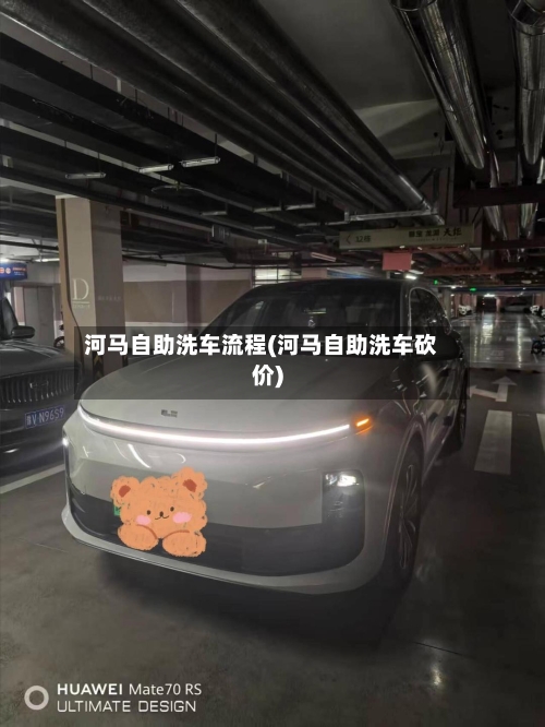 河马自助洗车流程(河马自助洗车砍价)