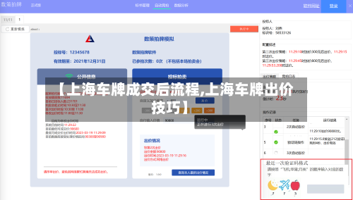 【上海车牌成交后流程,上海车牌出价技巧】
