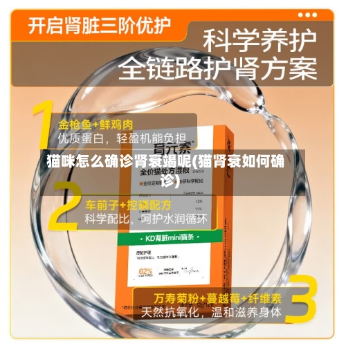 猫咪怎么确诊肾衰竭呢(猫肾衰如何确诊)-第2张图片