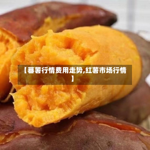 【蕃薯行情费用走势,红薯市场行情】