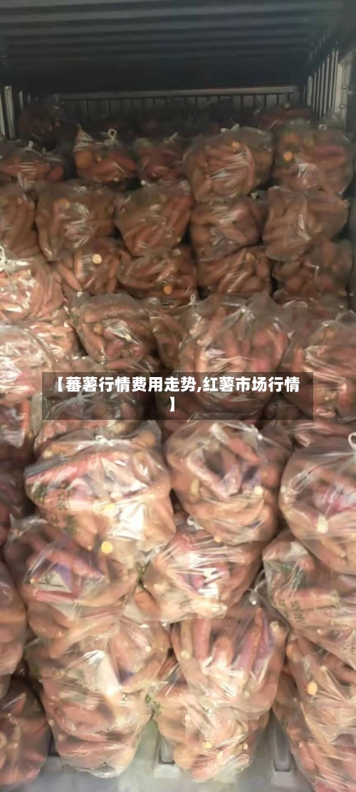 【蕃薯行情费用走势,红薯市场行情】-第3张图片