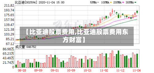 【比亚迪股票费用,比亚迪股票费用东方财富】-第2张图片
