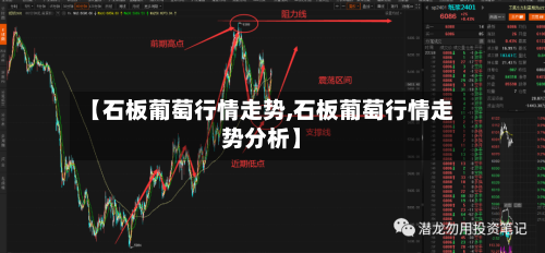 【石板葡萄行情走势,石板葡萄行情走势分析】-第2张图片