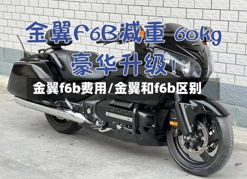 金翼f6b费用/金翼和f6b区别