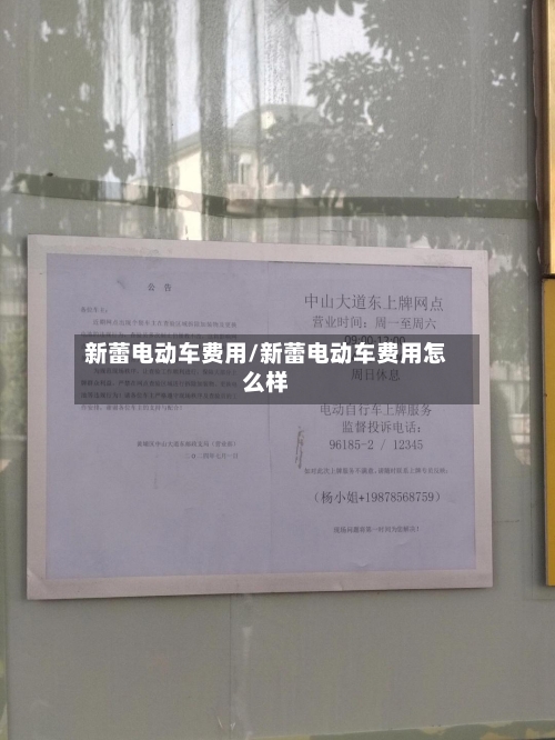 新蕾电动车费用/新蕾电动车费用怎么样-第2张图片