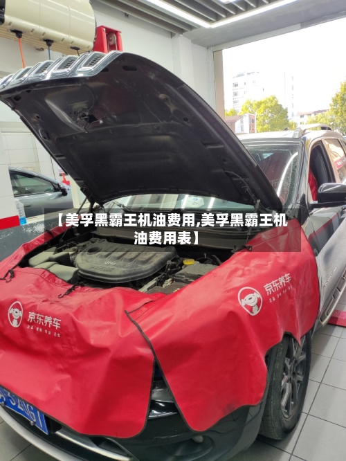 【美孚黑霸王机油费用,美孚黑霸王机油费用表】-第2张图片