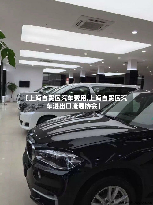【上海自贸区汽车费用,上海自贸区汽车进出口流通协会】-第2张图片