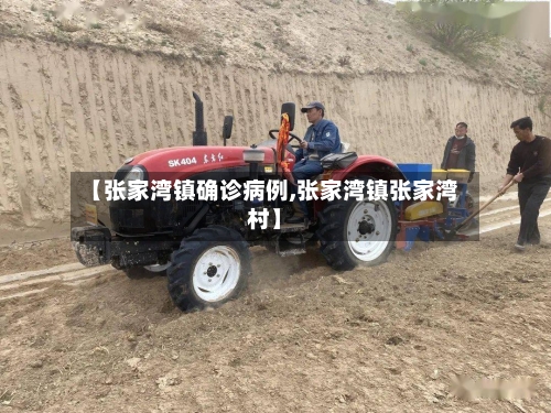 【张家湾镇确诊病例,张家湾镇张家湾村】-第2张图片