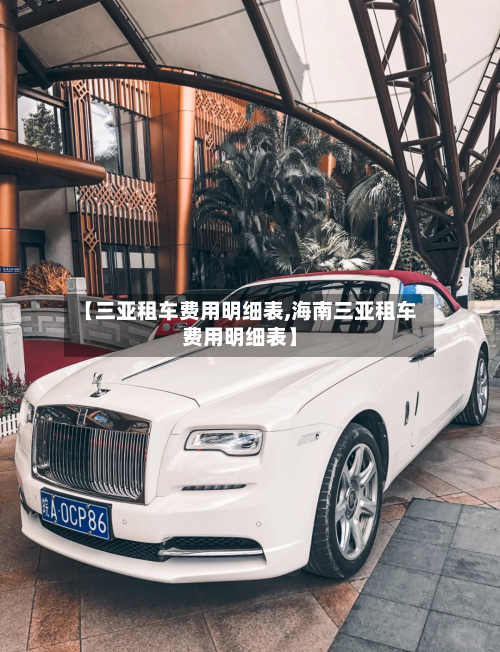 【三亚租车费用明细表,海南三亚租车费用明细表】-第2张图片
