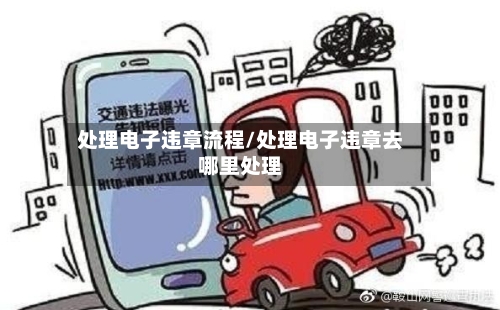 处理电子违章流程/处理电子违章去哪里处理