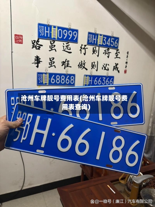 沧州车牌靓号费用表(沧州车牌靓号费用表查询)