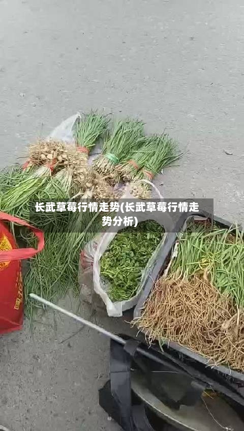 长武草莓行情走势(长武草莓行情走势分析)