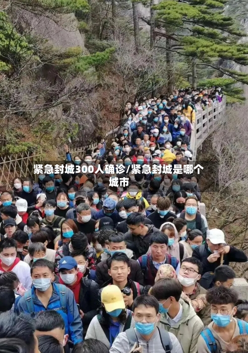 紧急封城300人确诊/紧急封城是哪个城市-第3张图片