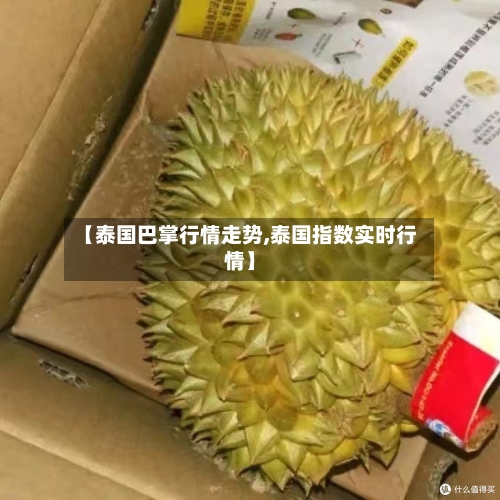 【泰国巴掌行情走势,泰国指数实时行情】-第2张图片