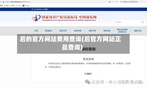 后的官方网站费用查询(后官方网站正品查询)-第2张图片