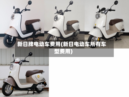 新日牌电动车费用(新日电动车所有车型费用)-第3张图片