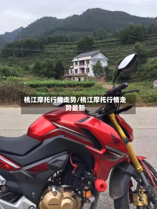 桃江摩托行情走势/桃江摩托行情走势最新