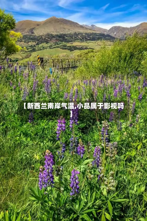 【新西兰南岸气温,小品属于影视吗】